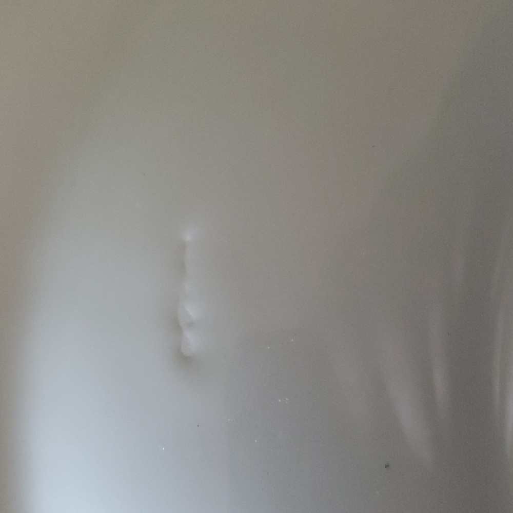12.5 In Plate - Picture 3 of 4
